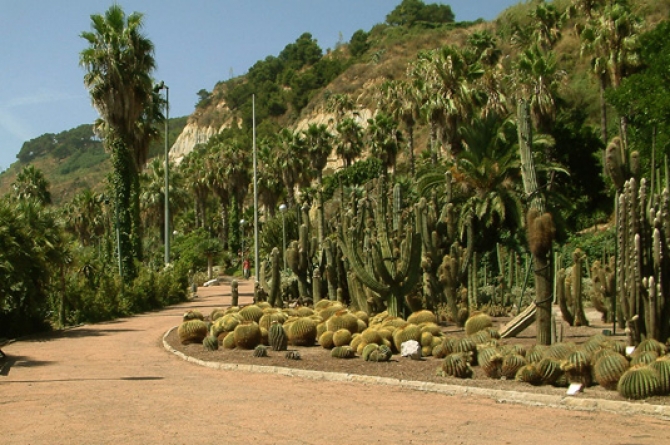 Mossèn Costa i Llobera Gardens | Barcelona Film Commission