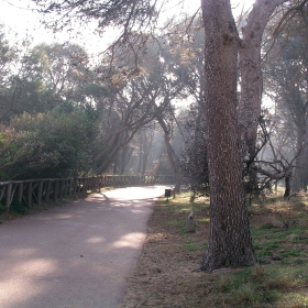 Camí d'Empúries 