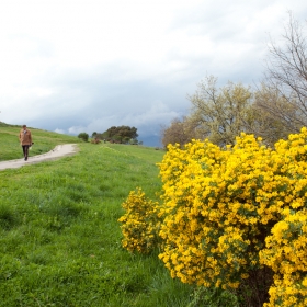 Parc de la Serreta