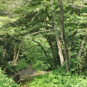 Parc de la Font dels Oms