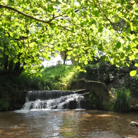 Parc de la Font dels Oms